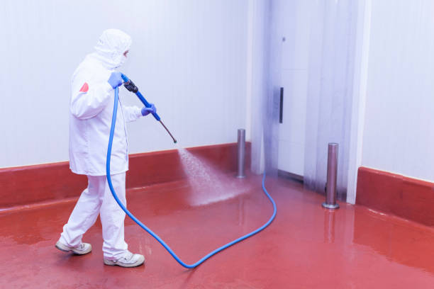 Paint Preparation in Heyworth, IL